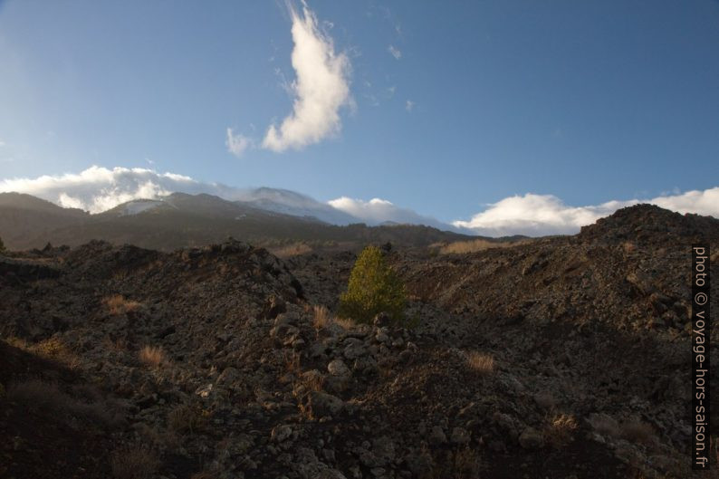 Lave de 1865 et le sommet de l'Etna. Photo © Alex Medwedeff