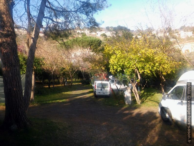 Notre trafic au camping la Timpa sous les agrumiers. Photo © André M. Winter