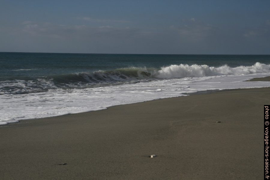 Déferlante sur la plage Nocera Terinese. Photo © Alex Medwedeff