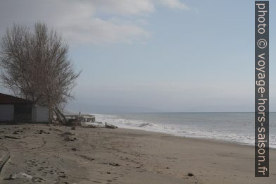 Plage Nocera Terinese en hiver. Photo © Alex Medwedeff