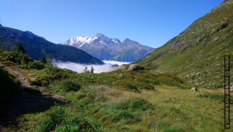 Vue retour sur le Mont Pourri. Photo © André M. Winter