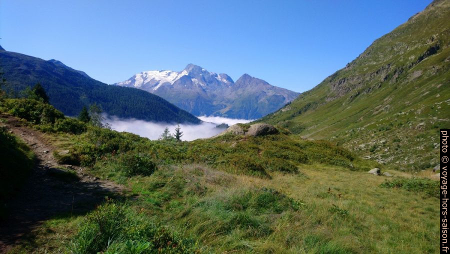 Vue retour sur le Mont Pourri. Photo © André M. Winter