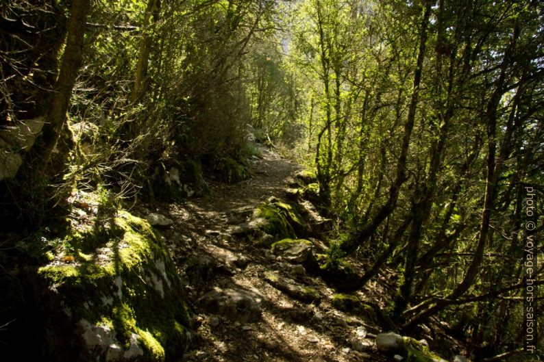 Le chemin sous le Pas des Voûtes. Photo © André M. Winter