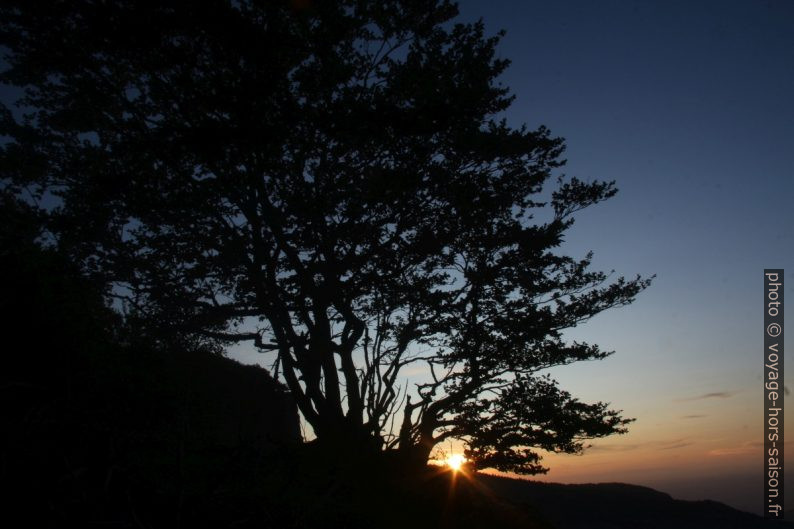 Coucher de soleil entre les arbres. Photo © André M. Winter