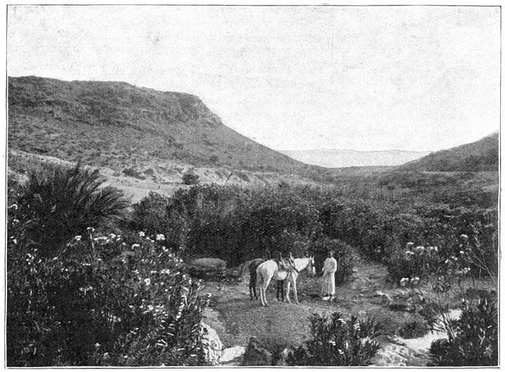 L'Oued Hadedj, d'aspect si charmant, est un bourbier qui sue la fièvre