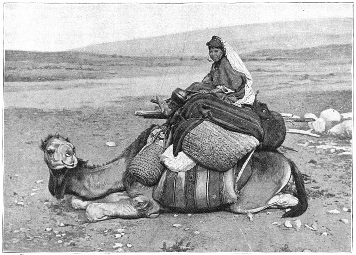 La jeune paysanne Manoubia sur son chameau