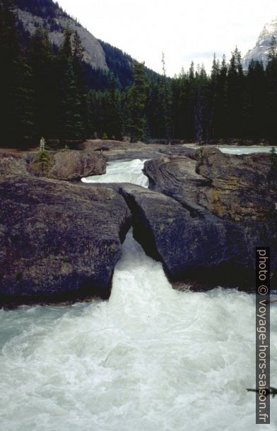 Arc rocheux naturel sur le Kicking Horse River. Photo © André M. Winter
