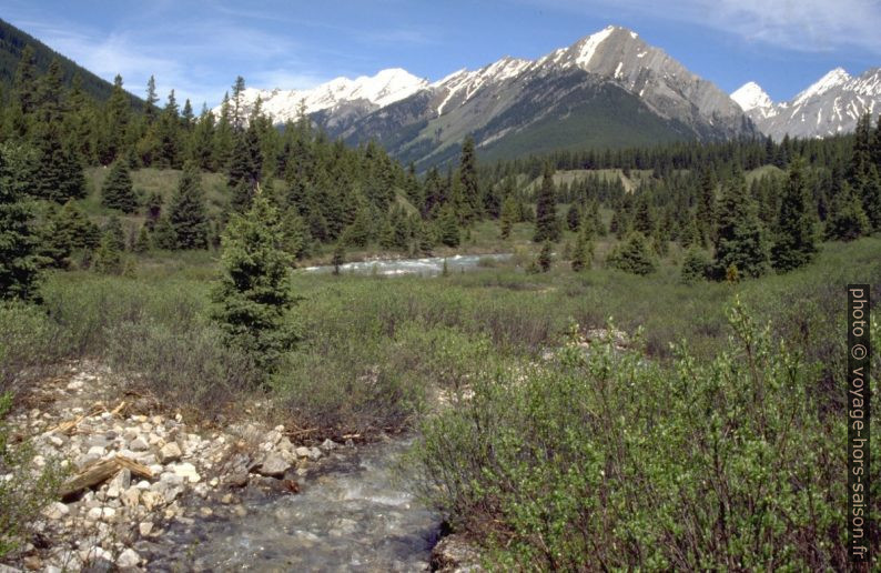 Prairies en amont du Johnston Canyon. Photo © André M. Winter