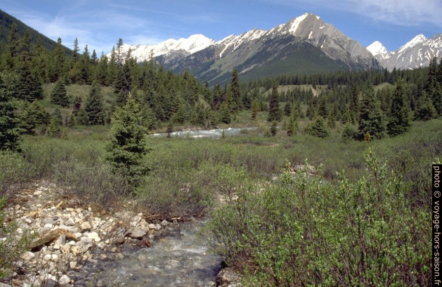 Prairies en amont du Johnston Canyon. Photo © André M. Winter