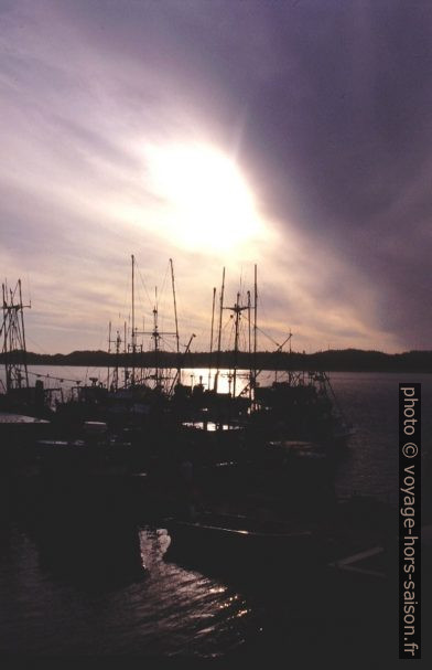 Dans le port de Prince Rupert. Photo © André M. Winter