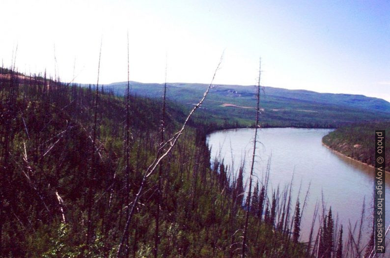 Forêts brûlés au bord du Liard River. Photo © André M. Winter