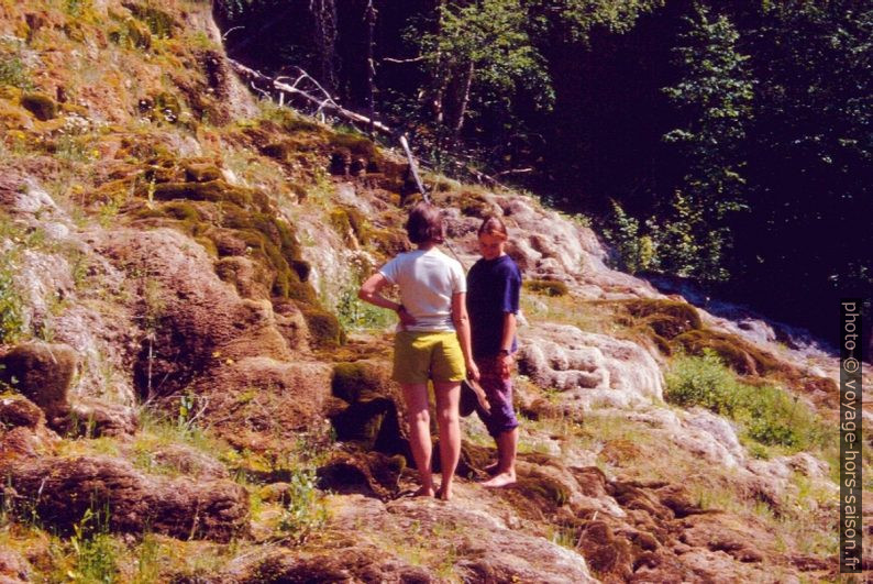 Terrasses des Liard River Hot Springs. Photo © André M. Winter