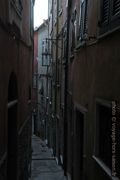 Ruelle sombre à Tellaro. Photo © Alex Medwedeff