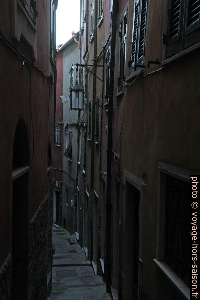 Ruelle sombre à Tellaro. Photo © Alex Medwedeff