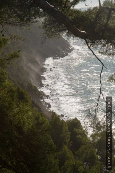 Côte rocheuse abrupte au sud de Tellaro. Photo © Alex Medwedeff