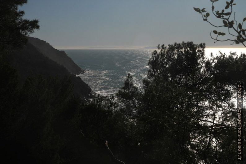 Vu de la côte de Lerici vers le sud. Photo © Alex Medwedeff