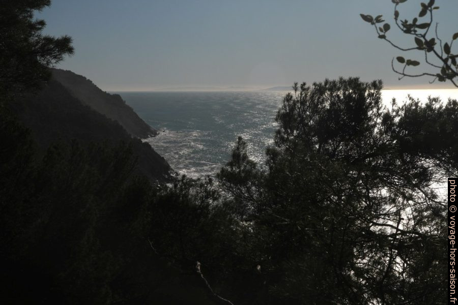 Vu de la côte de Lerici vers le sud. Photo © Alex Medwedeff