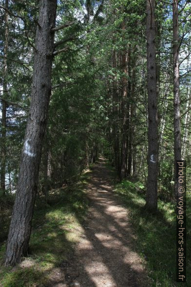 Sentier Lechweg. Photo © Alex Medwedeff