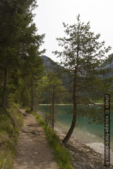 Chemin au nord du lac Heiterwanger See. Photo © Alex Medwedeff