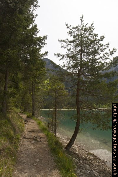 Chemin au nord du lac Heiterwanger See. Photo © Alex Medwedeff