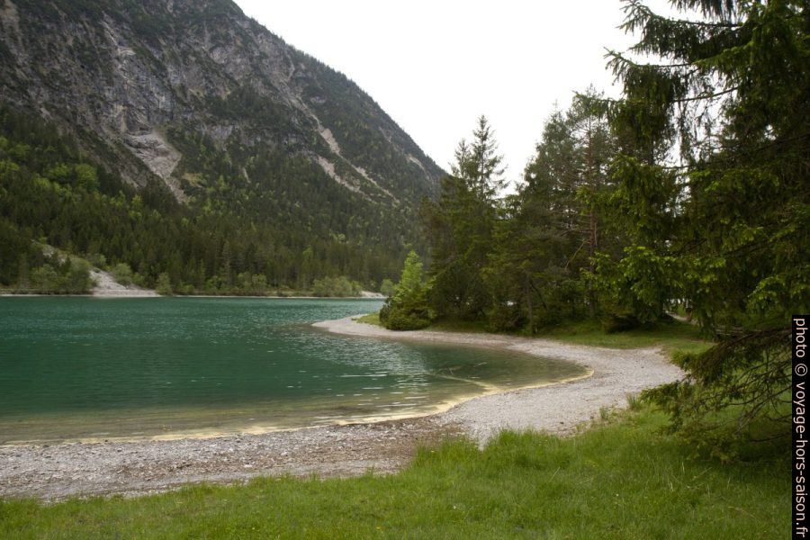 Polen de pins au bord d'une plage du lac Heiterwanger See. Photo © Alex Medwedeff
