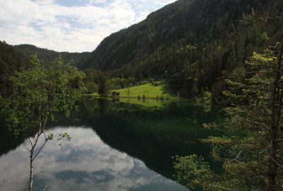 Prés au bord du lac Fernsteinsee. Photo © Alex Medwedeff