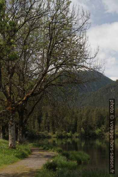 Chemin bordant le lac Fernsteinsee. Photo © Alex Medwedeff