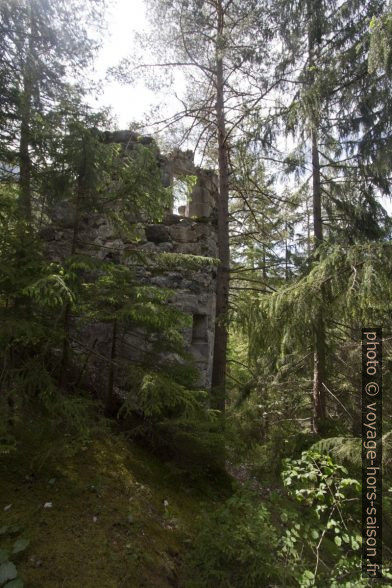 Ruine Sigmundsburg sur l'île du la Fernsteinsee. Photo © André M. Winter