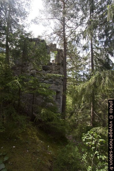 Ruine Sigmundsburg sur l'île du la Fernsteinsee. Photo © André M. Winter