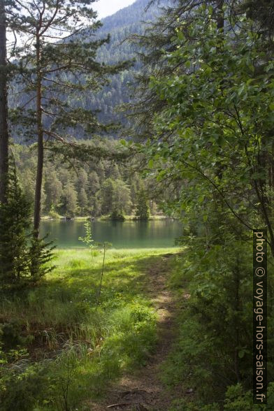 Paysage sauvage du lac Fernsteinsee. Photo © Alex Medwedeff