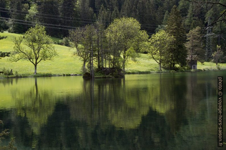 Bord paisible du lac Fernsteinsee. Photo © Alex Medwedeff