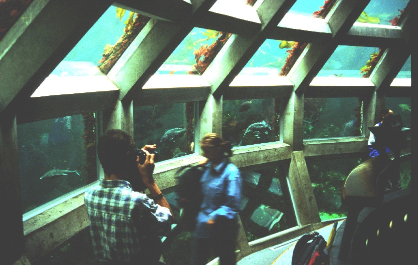 Dôme de verre du Seattle Aquarium. Photo © André M. Winter