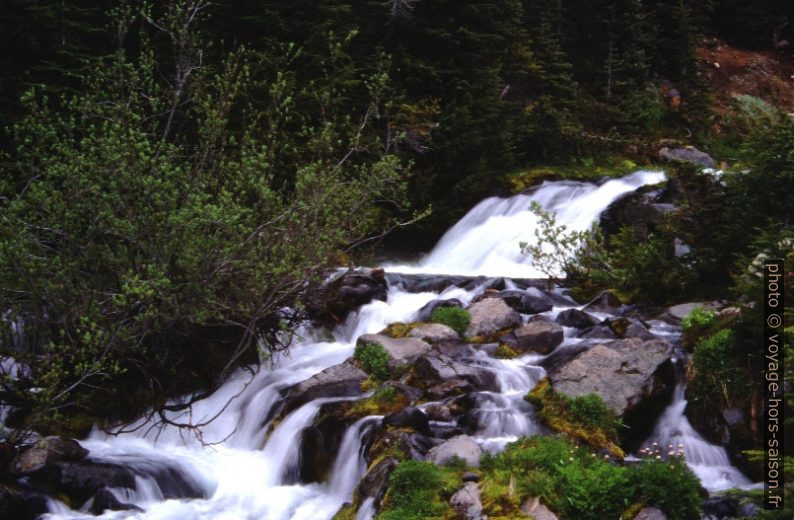 Le Paradise Creek à 5400 ft. Photo © André M. Winter