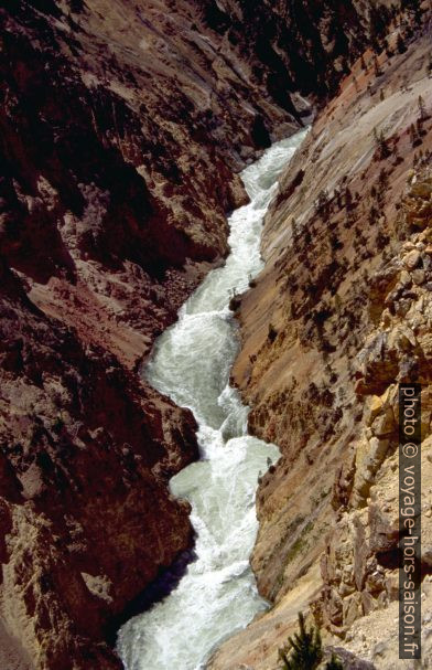 Canyon du Yellowstone River. Photo © André M. Winter
