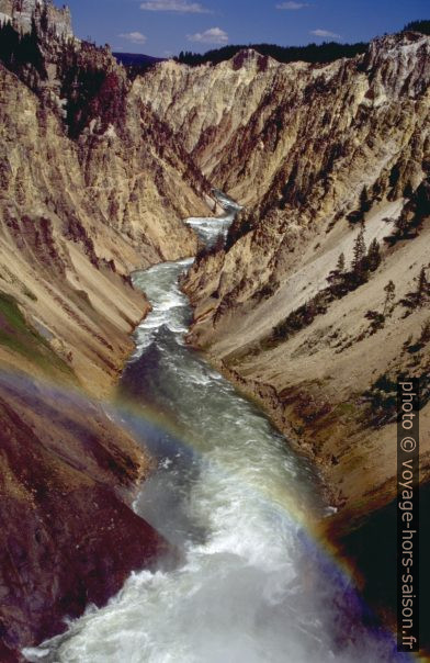 Le Yellowstone River vue par-dessus le Lower Fall. Photo © André M. Winter