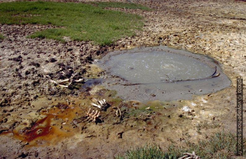 Mud pot avec ossements d'animaux. Photo © André M. Winter
