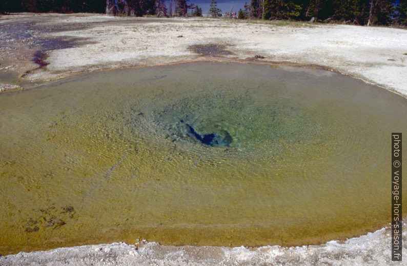 Petit trou d'eau du West Thumb Geysir Basin. Photo © André M. Winter