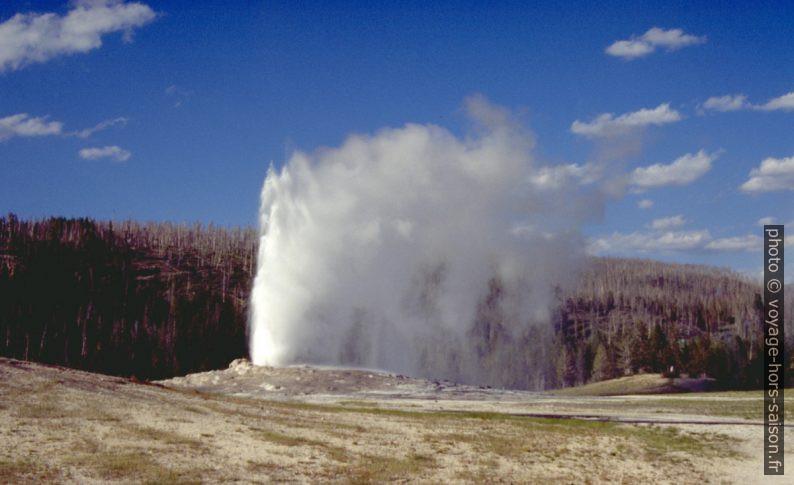 Drapeau de vapeurs d'eau de l'Old Faithful. Photo © André M. Winter