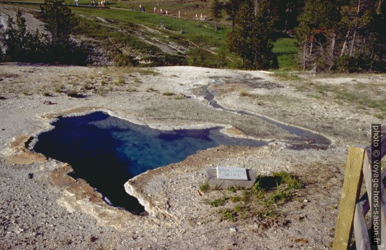 Blue Star Spring Pot. Photo © André M. Winter