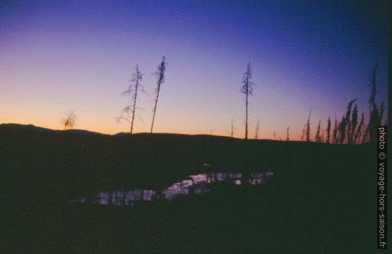 Le soir au bord du Gibbon River. Photo © André M. Winter