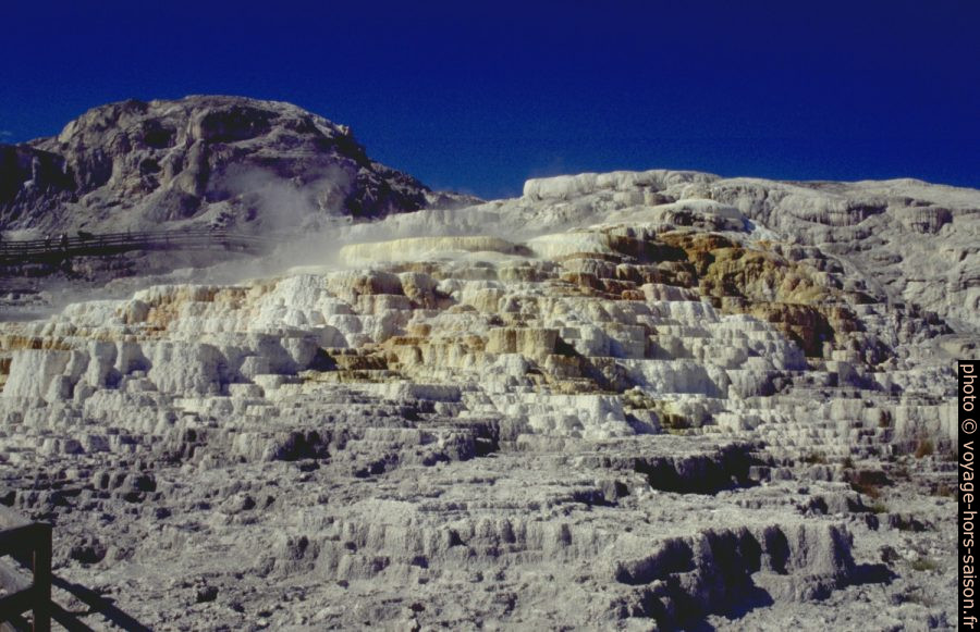 Mammoth Terrace avec terrasses actives et inactives. Photo © André M. Winter