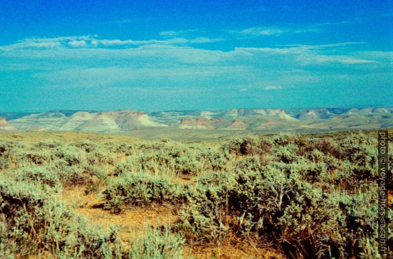 Sagebrush dans le Green River Basin. Photo © André M. Winter