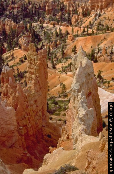 Érosion dans le Bryce Canyon. Photo © André M. Winter