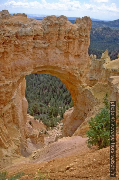 Natural Bridge du Bryce Canyon. Photo © André M. Winter