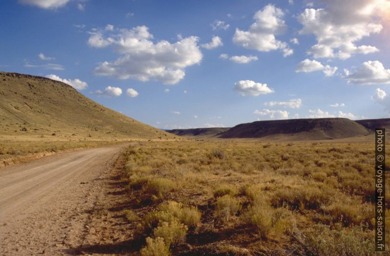 Collines de lave sur l'Uinkaret Plateau. Photo © André M. Winter