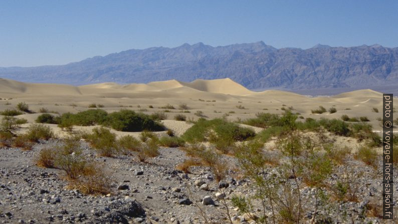 Dunes de sable du Death Valley. Photo © André M. Winter