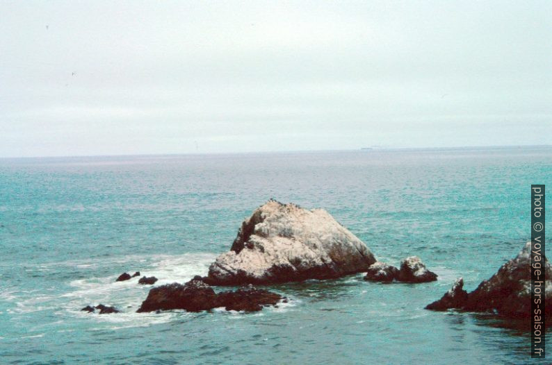 Les Seal Rocks au large de San Francisco. Photo © André M. Winter