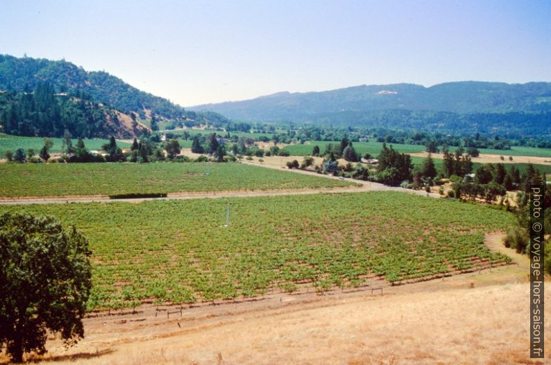 Vignes autour de Calistoga. Photo © André M. Winter