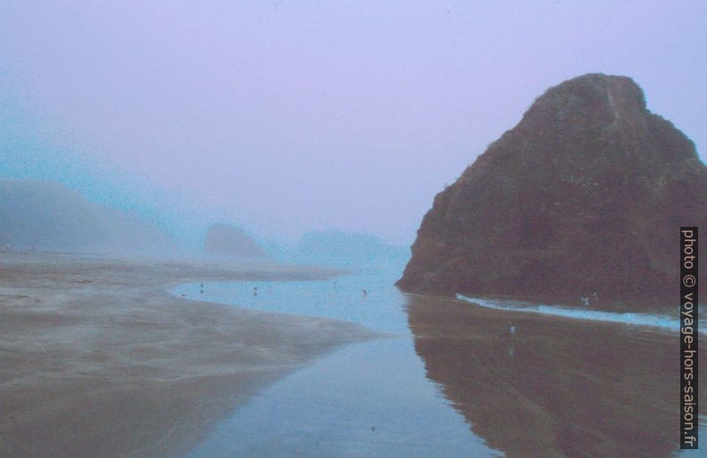 Brume sur une plage à marée basse. Photo © André M. Winter