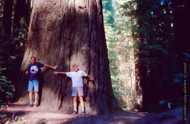 Christan et André devant la base du tronc d'un redwood. Photo © André M. Winter